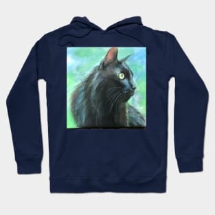 A Black Cat on a Bright Day Hoodie